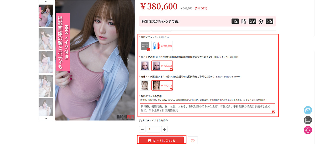 DACHIWIFE の商品ページ。右側のオプション選択欄と「カートに入れる」ボタン